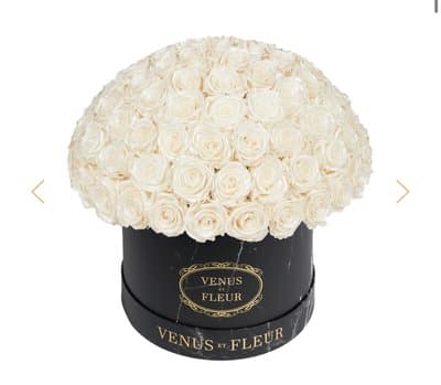 Venus ET Fleur Roses